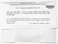Image Associated With the Occurence